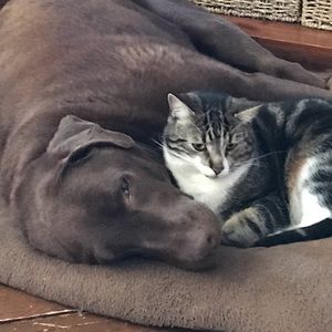 Meet your Posher, Karina